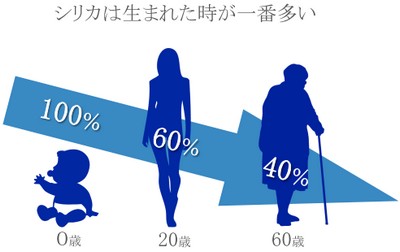 シリカは0歳を100％とすると、30代～60代で半分以下に減ってしまいます