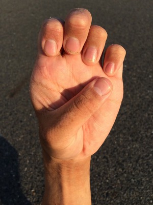 男爪